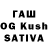 Alfa_PVP СК Savitri Butterworth