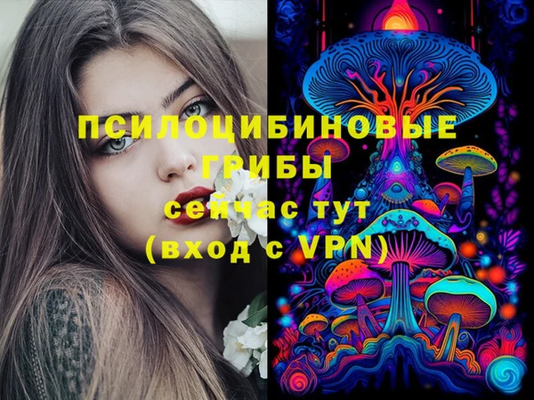 марки lsd Белокуриха