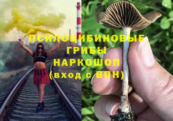 марки lsd Белокуриха