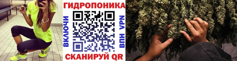 Бошки Шишки SATIVA & INDICA где купить наркоту Эртиль